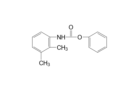 2,3-dimethylcarbanilic acid, phenyl ester