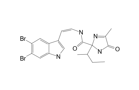 KOTTAMIDE-D