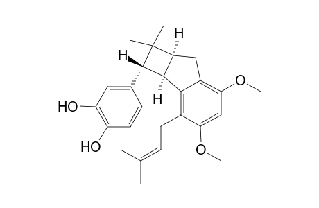 Artochamin I