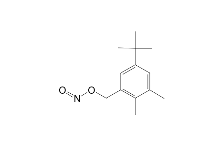 5-TERT.-BUTYL-2,3-DIMETHYL-BENZYL-NITRITE