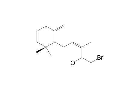 PALISOL