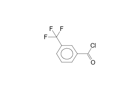 alpha,alpha,alpha-TRIFLUORO-m-TOLUOYL CHLORIDE