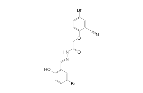 2-(4-Bromo-2-cyanophenoxy)-N'-(5-bromosalicylidene)acethydrazide