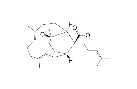 EMERICELLENE_B;(+)-12-BETA,17-EPOXYEMERICELLA-3-E,7-E,22-TRIEN-16-OIC_ACID