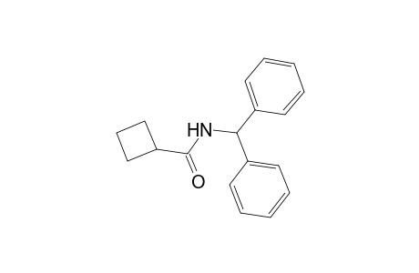 N-benzhydrylcyclobutanecarboxamide