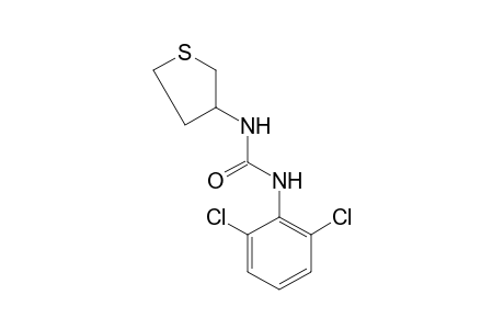 1-(2,6-dichlorophenyl)-3-(tetrahydro-3-thienyl)urea