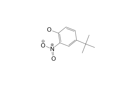 4-tert-Butyl-2-nitrophenol