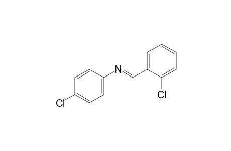 p-chloro-N-(o-chlorobenzylidene)aniline