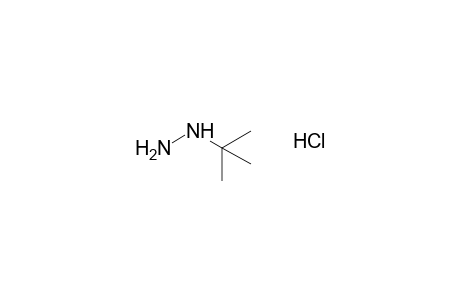 tert-butylhydrazine, monohydrochloride