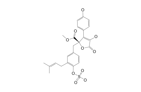 BUTYROLACTONE_I_4''-SULFATE