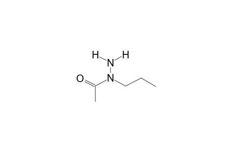 (E)-1-ACETYL-1-PROPYLHYDRAZINE