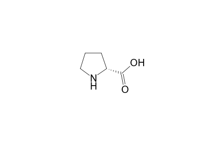 D-Proline