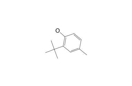 2-tert-Butyl-p-cresol