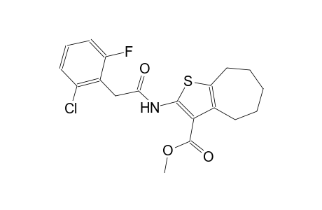 methyl 2-{[(2-chloro-6-fluorophenyl)acetyl]amino}-5,6,7,8-tetrahydro-4H-cyclohepta[b]thiophene-3-carboxylate