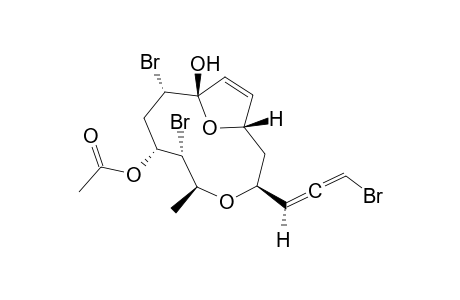 Obtusallene IX