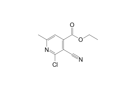 2-chloro-3-cyano-6-methylisonicotinic acid, ethyl ester