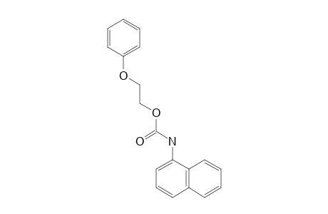 1-NAPHTHALENECARBAMIC ACID, 2-PHENOXYETHYL ESTER