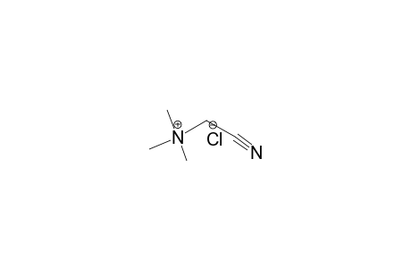 cyanomethyl-trimethylazanium chloride
