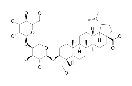 23-HYDROXY-3-BETA-[(O-BETA-D-GLUCOPYRANOSYL-(1->4)-ALPHA-L-ARABINOPYRANOSYL)-OXY]-LUP-20-(29)-EN-28-OIC_ACID