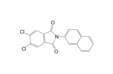 5,6-dichloro-2-(2-naphthyl)-1H-isoindole-1,3(2H)-dione