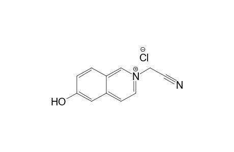 2-(Cyanomethyl)-6-hydroxyisoquinolinium chloride