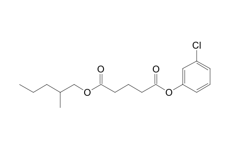 Glutaric acid, 3-chlorophenyl 2-methylpentyl ester