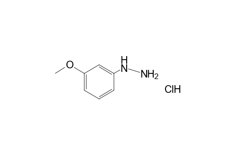(m-methoxyphenyl)hydrazine, hydrochloride