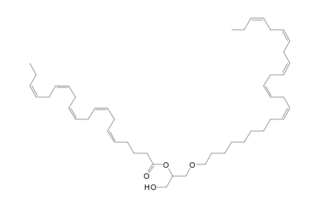 DG O-24:5_20:5