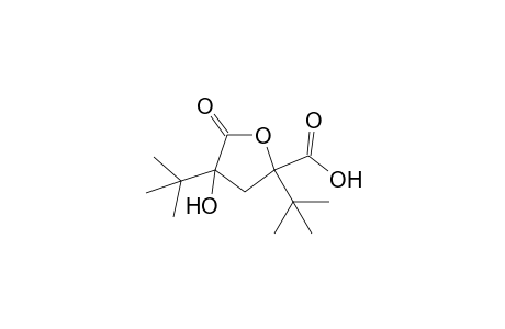 2,4-Ditert-butyl-4-hydroxy-5-keto-tetrahydrofuran-2-carboxylic acid