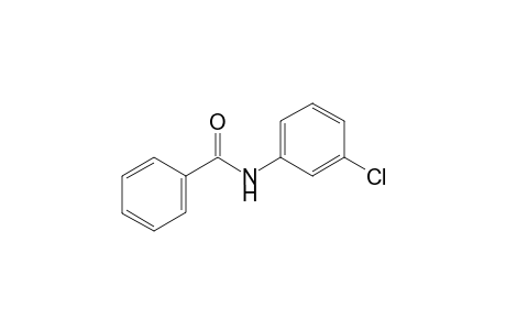 3'-Chloro-benzanilide