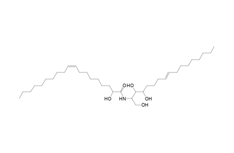 Cer 17:1;3O/19:1;(2OH)