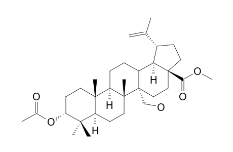 3.alpha.-Acetoxy-27-hydroxy-Lup-20(29)-en-28-oic Acid - Methyl Ester