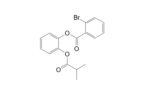 1,2-Benzenediol, o-(2-bromobenzoyl)-o'-isobutyryl-