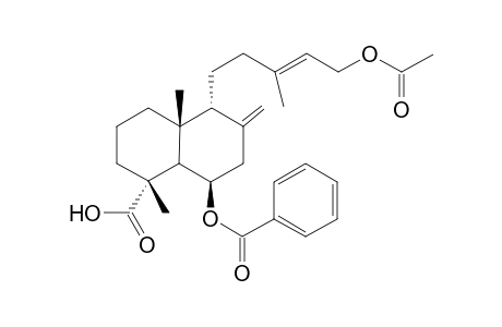 SCOPARIC-ACID-A-MONOACETATE;6-BENZOYL-12-METHYLOXYCARBONYL-LABDA-8(17),13-DIEN-18-OIC-ACID
