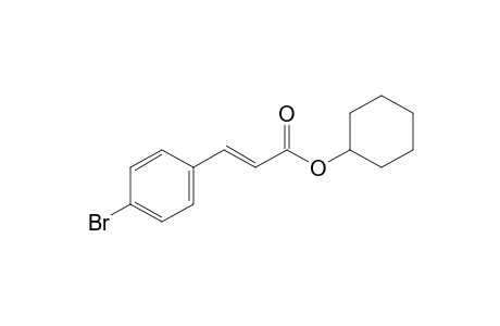 (E)-Cyclohexyl 3-(4-bromo-phenyl)acrylate