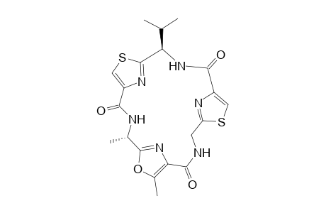 Nostocyclamide