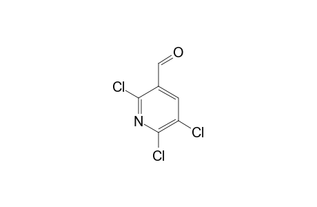 3-Pyridinecarboxaldehyde, 2,5,6-trichloro-
