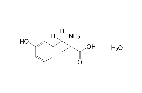 DL-alpha-methyl-m-tyrosine, monohydrate