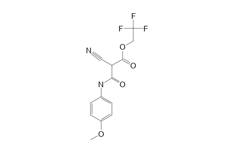 2-cyano-3-keto-3-[(4-methoxyphenyl)amino]propionic acid 2,2,2-trifluoroethyl ester