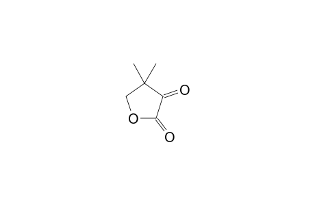 4,4-dimethyltetrahydrofuran-2,3-quinone