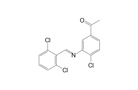 4'-chloro-3'-[(2,6-dichlorobenzylidene)amino]acetophenone