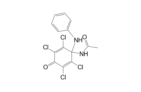 N-(1-ANILINO-2,3,5,6-TETRACHLORO-4-OXO-CYCLOHEXA-2,5-DIENYL)-ACETAMIDE