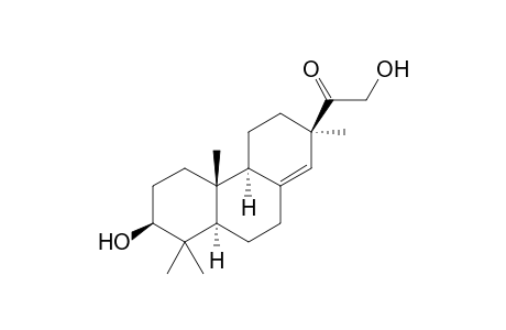 Lonchophylloid B