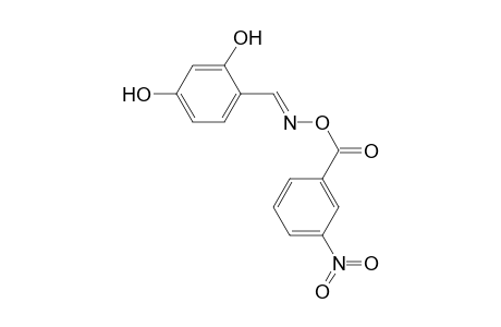 2,4-Dihydroxy-O-(3-nitrobenzoyl)benzaldoxime