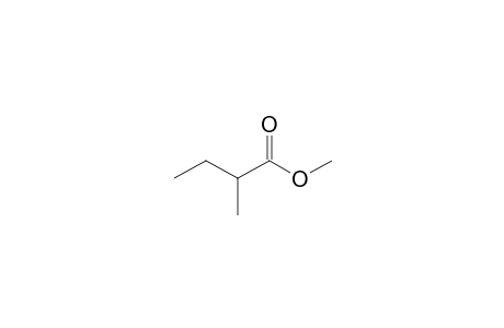 2-Methyl-butyric acid, methyl ester