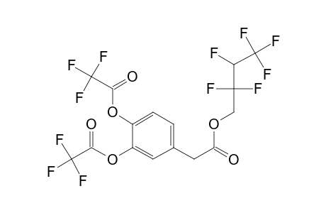 3,4-Dihydroxyphenylacetic acid, o,o'-bis(trifluoroacetyl)-, 2,2,3,4,4,4-hexafluorobutyl ester