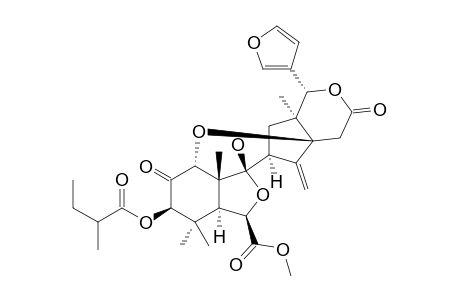 TRIJUGIN-G