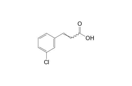 m-chlorocinnamic acid