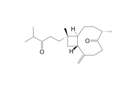 GIBBEROSIN-R;(1S,4S,9R,11S)-XENIAPHYLLA-8(19)-EN-5,14-DIONE