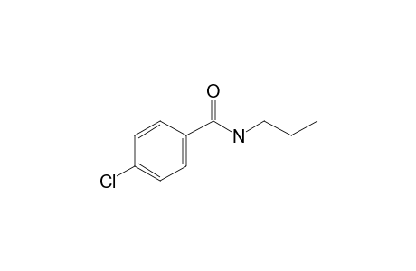 4-Chlorobenzamide, N-propyl-